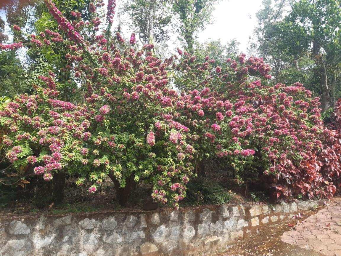 Athena Homestay Somvarpet Luaran gambar
