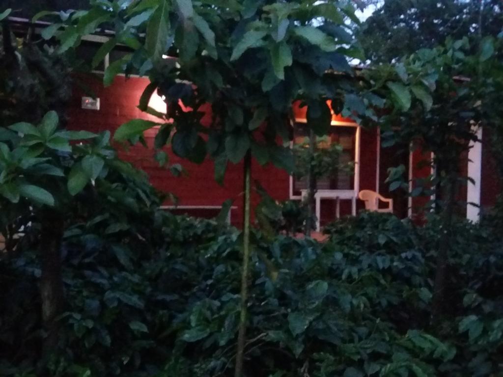 Athena Homestay Somvarpet Luaran gambar
